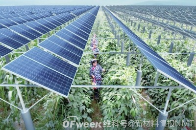可持续 | “ 光伏+科技农业”方案 助力实现碳中和目标  